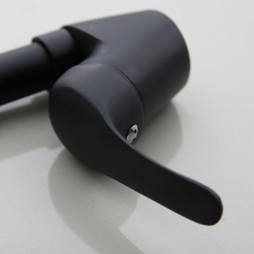 Bedieningshendel zwart van de keukenkraan 0