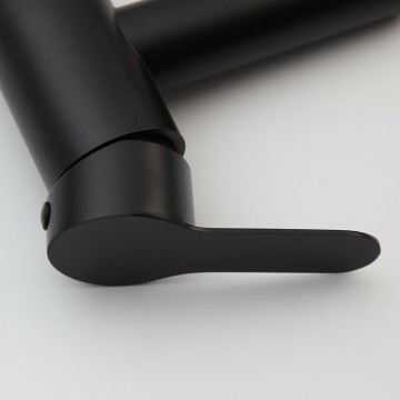 Bedieningshendel zwarte mengkraan