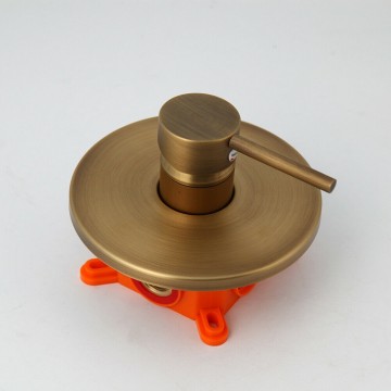 Bronskleurig inbouwpaneel regendouche