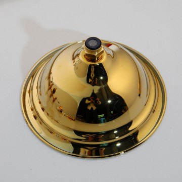 Douche kop gepolijst goud