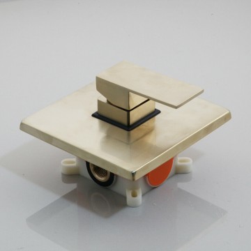 Geborsteld goud bedieningspaneel