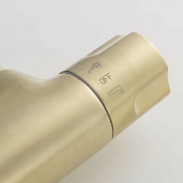 Geborsteld gouden bedieningshendel