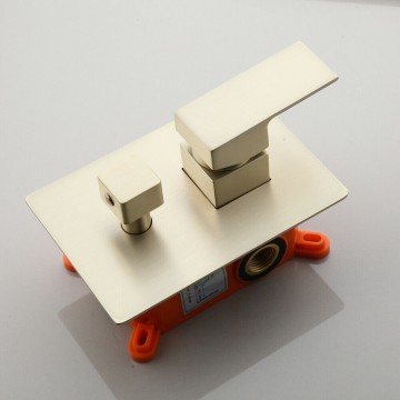 Geborsteld gouden inbouw gedeelte bedieningshendels