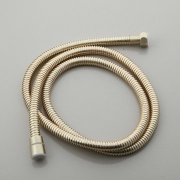 Geborsteld gouden slang