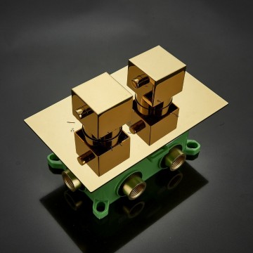 Gouden thermostatisch bedieningspaneel