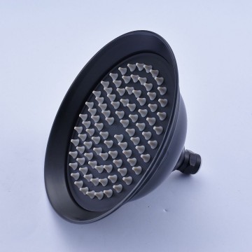 Grote olie bronzen regendouchekop