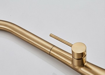 Keuken kraan mat goud