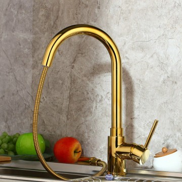 Keukenkraan goud