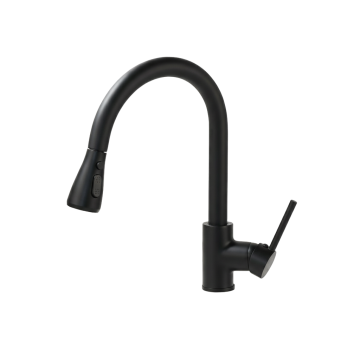 Keukenkraanzwartuittrakbaresproeikop