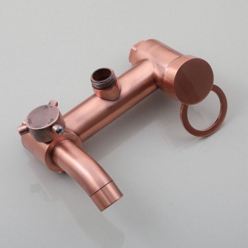 Koperkleurige regendouche nostalgisch kraan