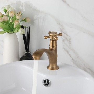 Koudwater bronskleurig fonteinkraantje