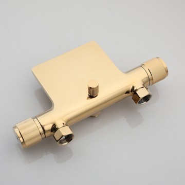 Kraangedeelte goudkleurige badkraan mengkraan