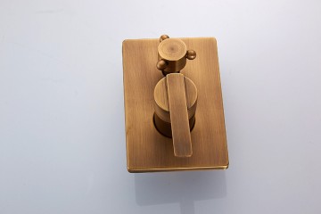 bedieningspaneel brons