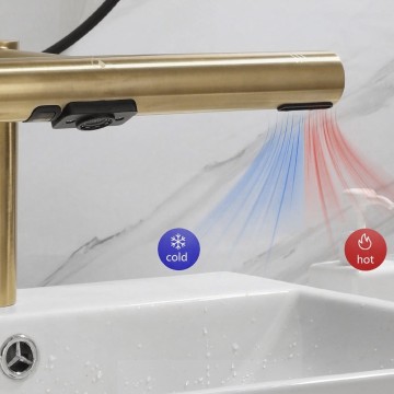 Sensomatica geborsteld goud 3 in 1 zeep droger sensorkraan 7