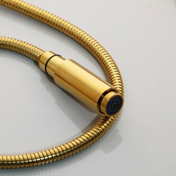 Sproeikop gouden keukenkraan