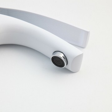 Stijlvolle witte badkamer kraan