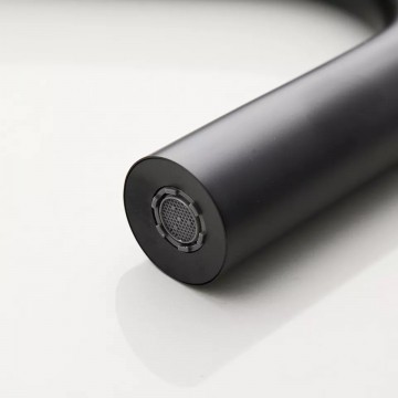 Tuit moderne zwarte vrijstaande badkraan