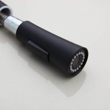 Zwarte sproeikop 2 standen